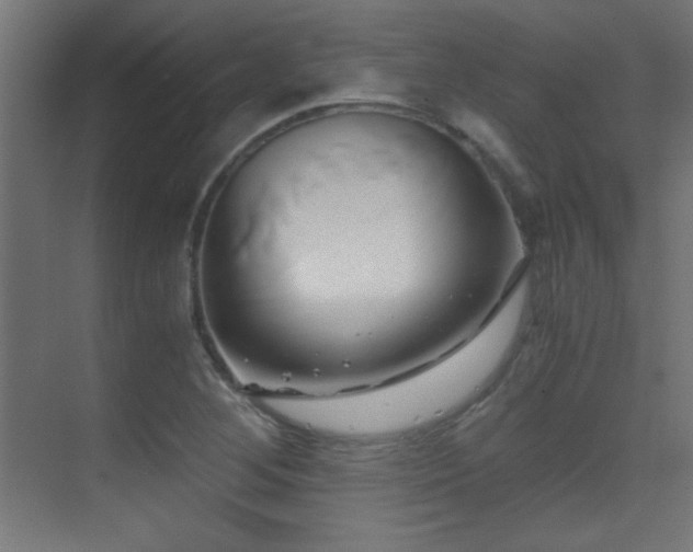 X0000071381268200606231236
