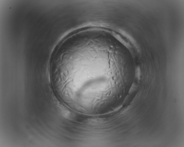 X0000071381272200606231236