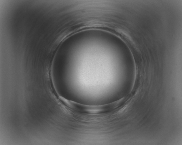 X0000071381273200606231236