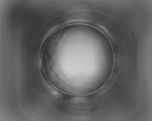 X0000071381274200606231236