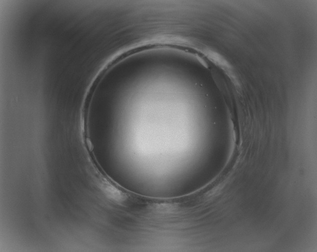 X0000071381280200606231236