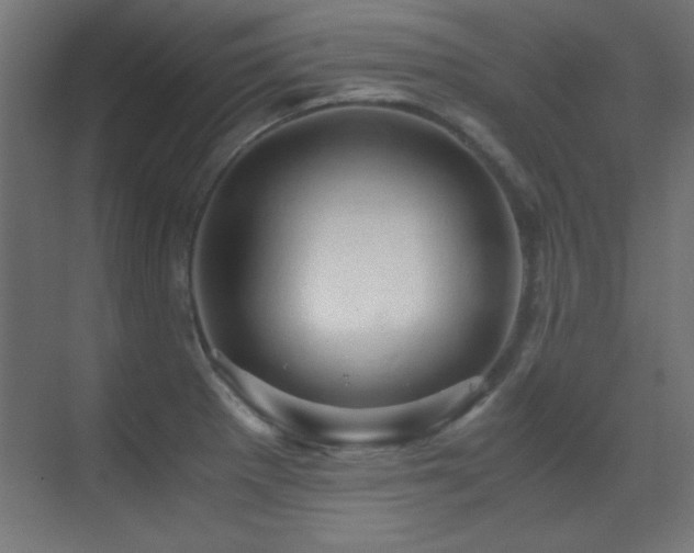 X0000071381281200606231236