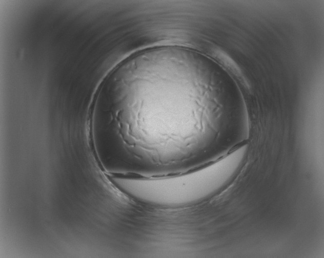 X0000071381284200606231236