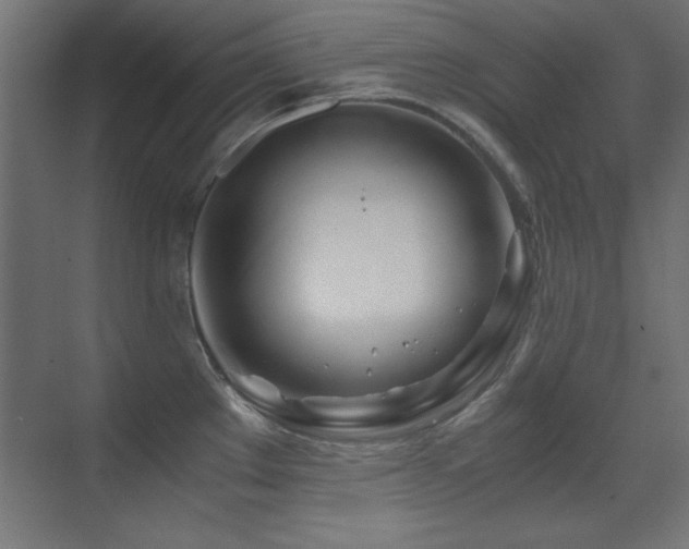 X0000071381289200606231236