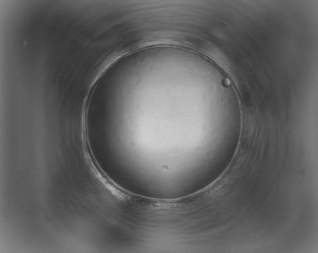 X0000071381290200606231236