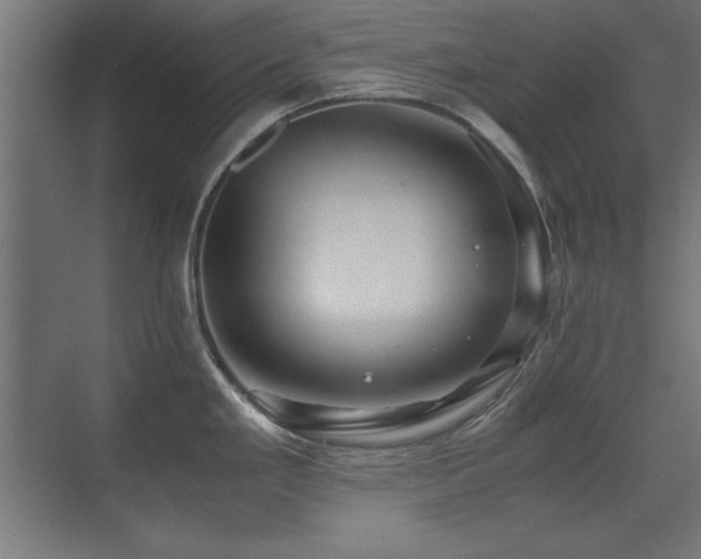 X0000071381293200606231236