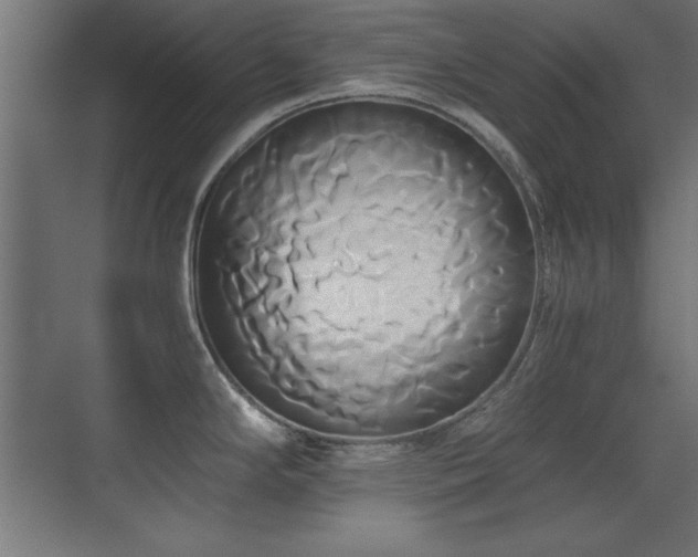 X0000071381294200606231236