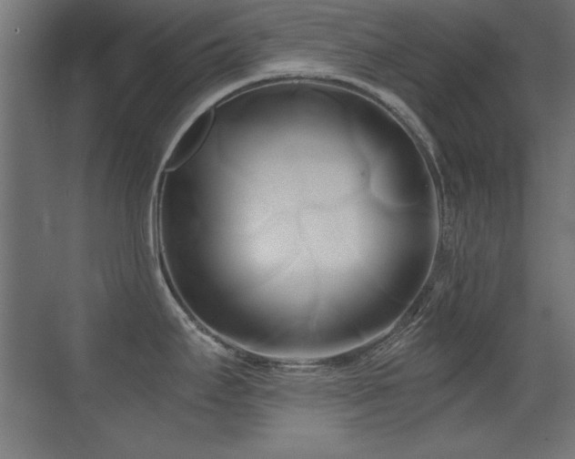 X0000071381295200606231236