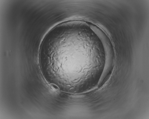 X0000071381296200606231236
