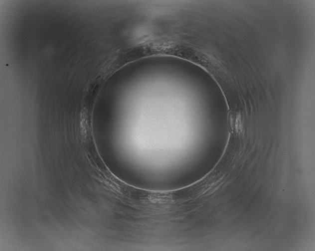 X0000071381299200606231235