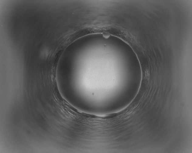 X0000071381300200606231235