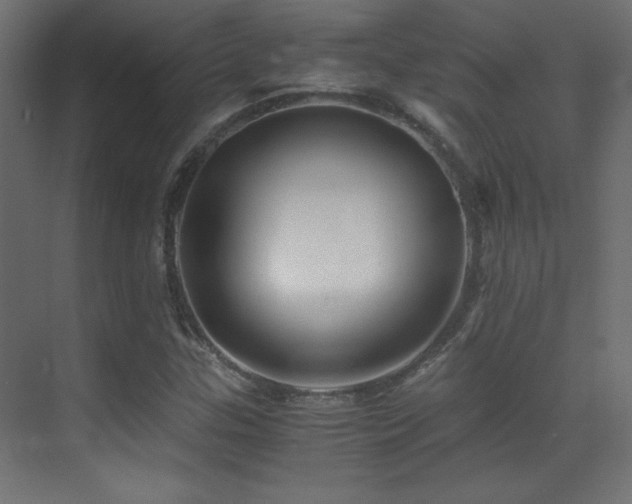 X0000071381307200606231235