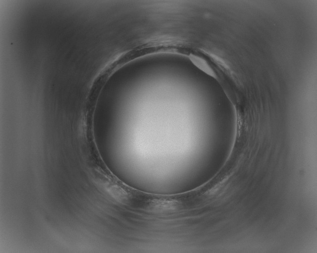 X0000071381309200606231235