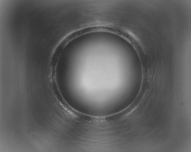 X0000071381310200606231235