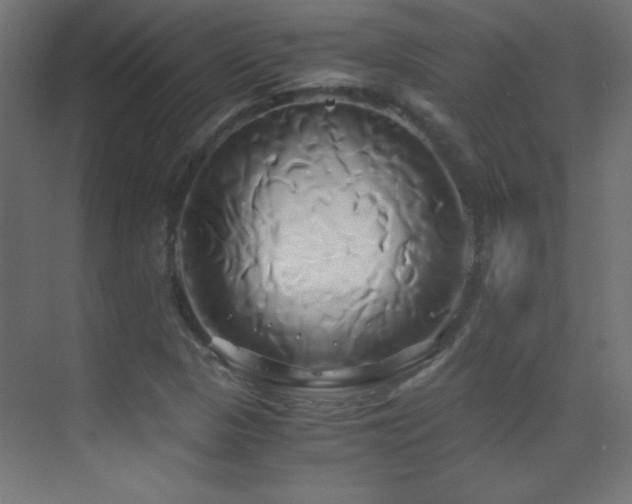 X0000071381313200606231235