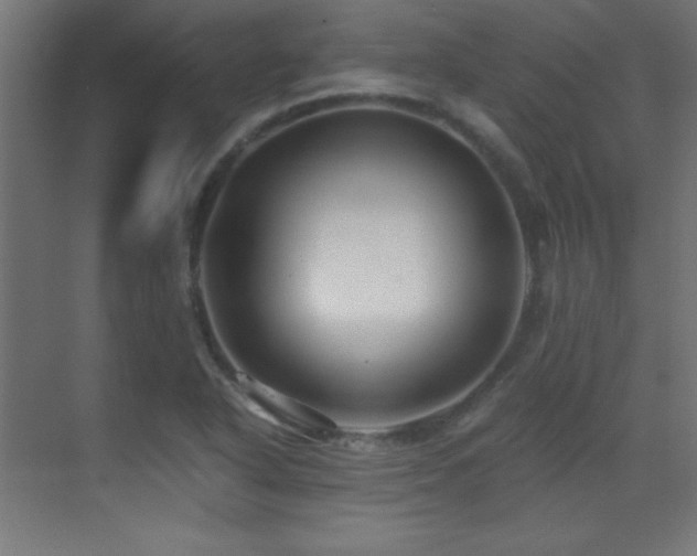 X0000071381318200606231236