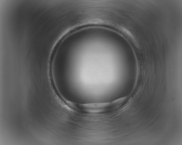 X0000071381326200606231236
