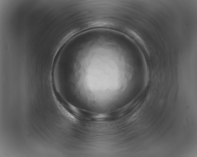 X0000071381330200606231236