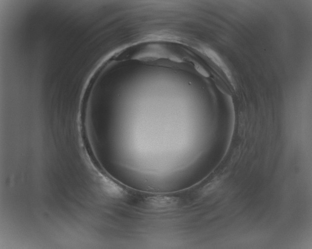 X0000071381331200606231236