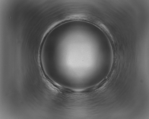 X0000071381336200606231236