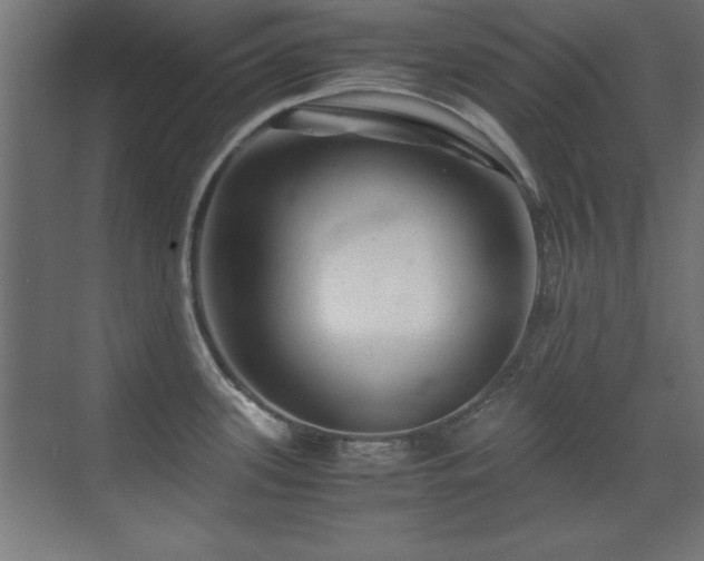 X0000071381339200606231236