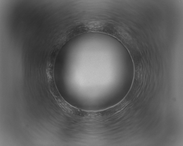 X0000071381346200606231235