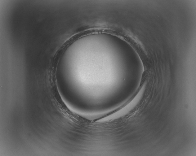 X0000071381352200606231235