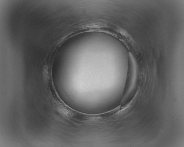 X0000071381353200606231235
