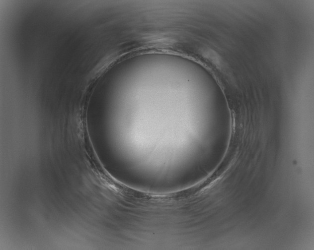 X0000071381354200606231235