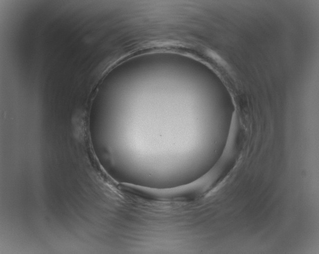 X0000071381361200606231235