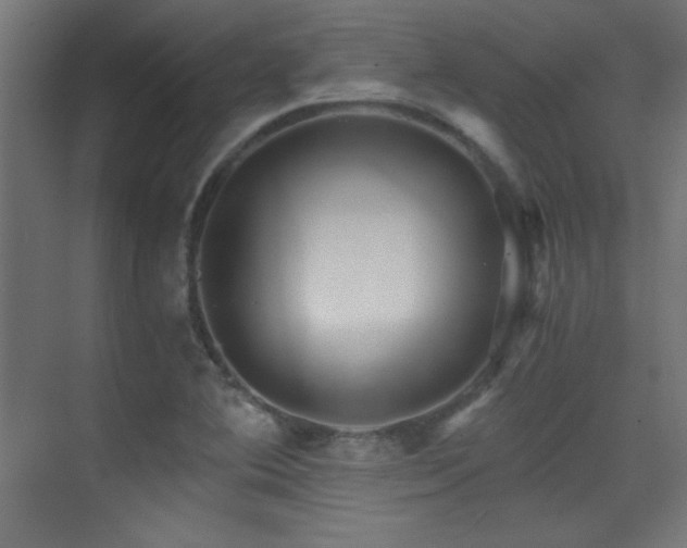 X0000071381364200606231235