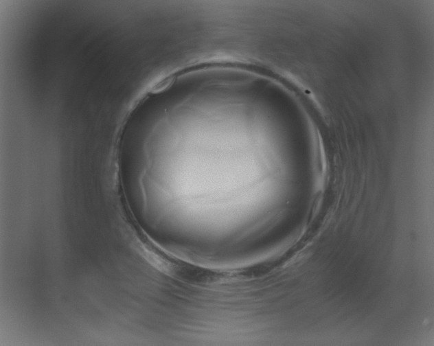 X0000071381367200606231235
