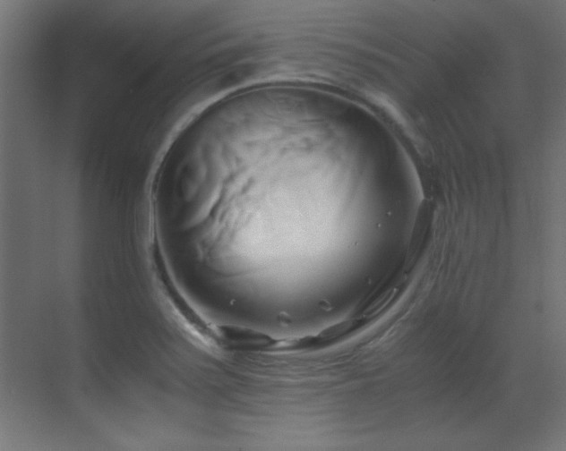X0000071381371200606231235