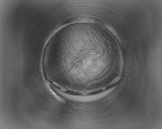 X0000071381379200606231235