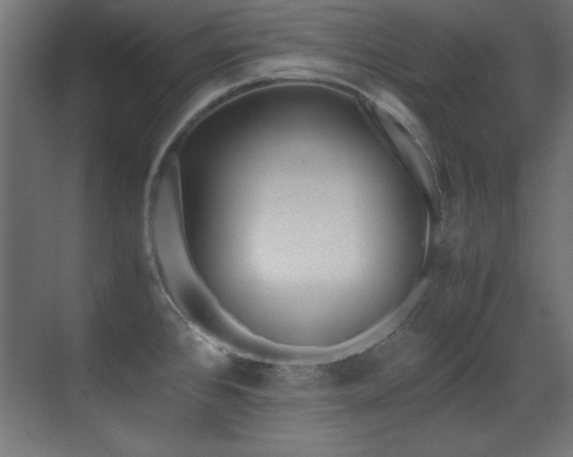 X0000071381384200606231235