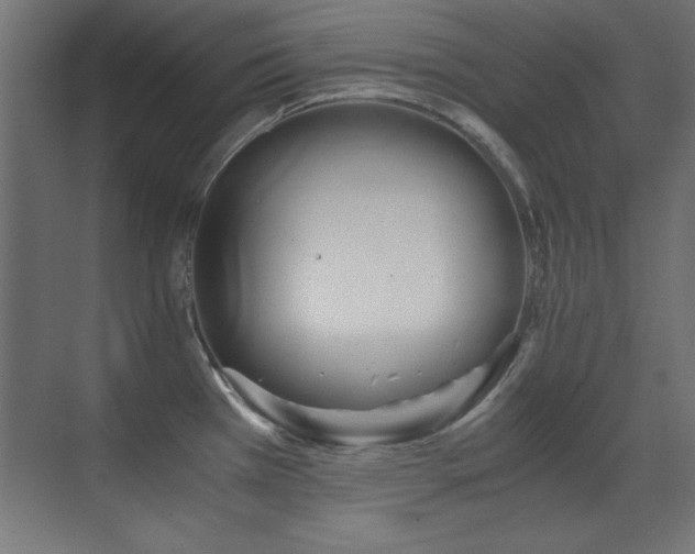 X0000071381385200606231235