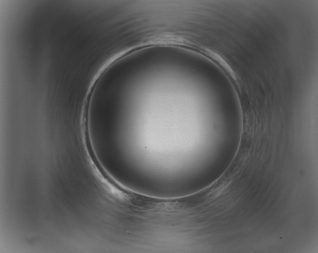 X0000071381387200606231234