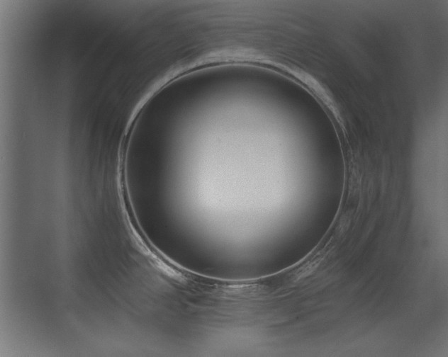 X0000071381390200606231234