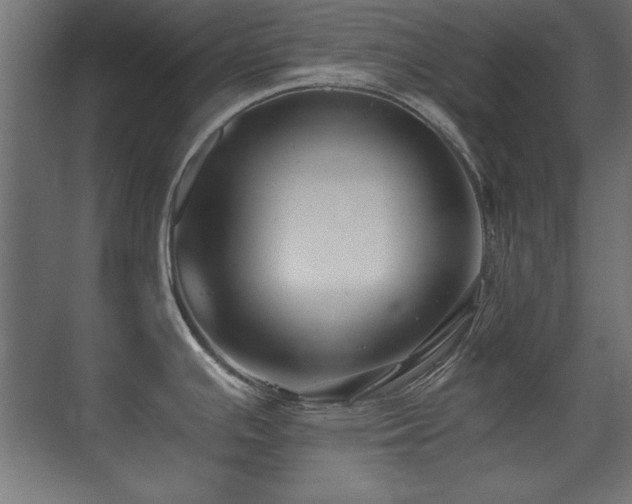 X0000071381391200606231234