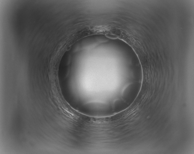 X0000071381393200606231234