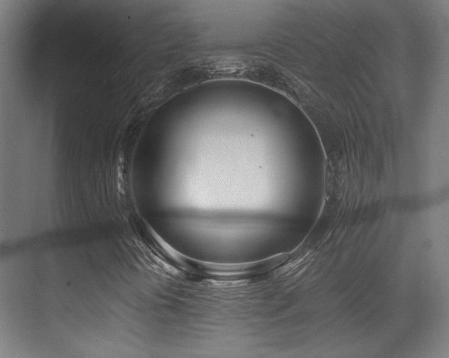 X0000071381394200606231234