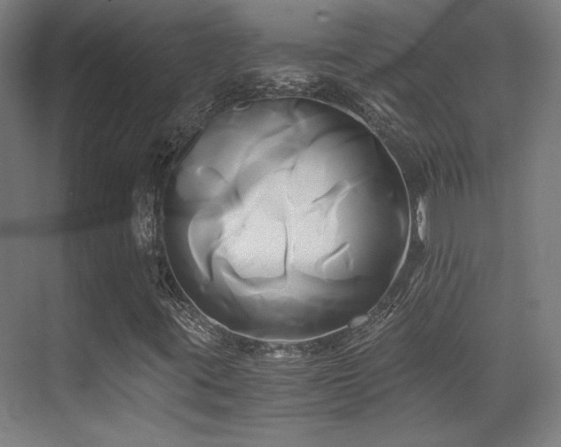 X0000071381395200606231234