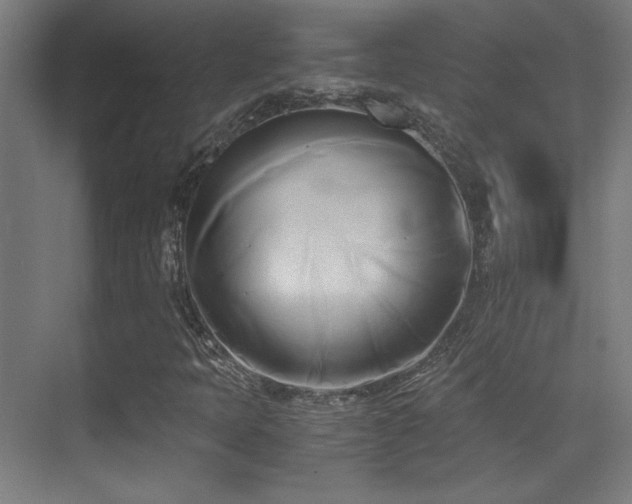 X0000071381397200606231234