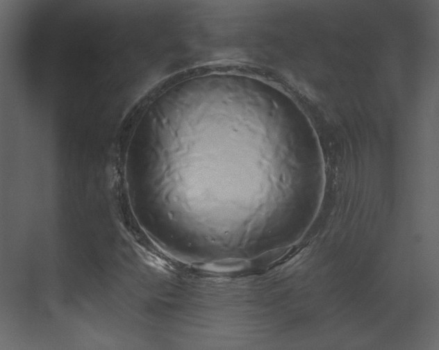 X0000071381400200606231234
