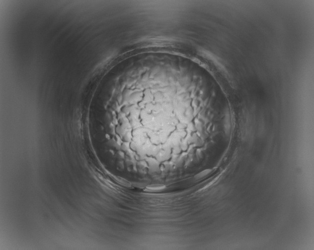 X0000071381403200606231234