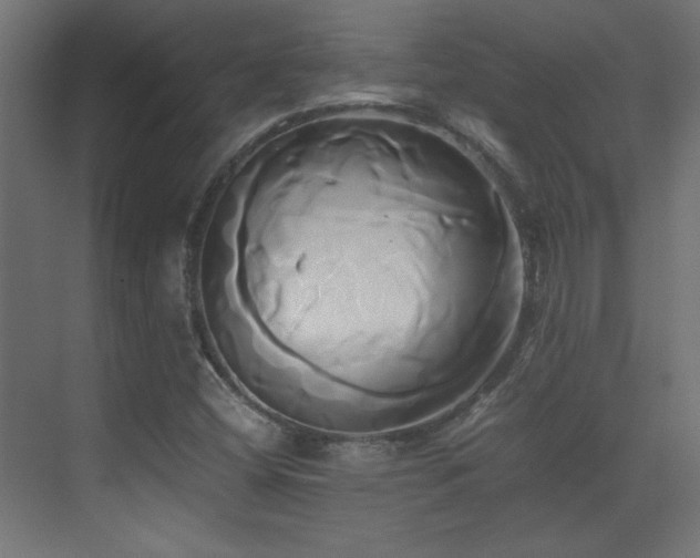 X0000071381404200606231234