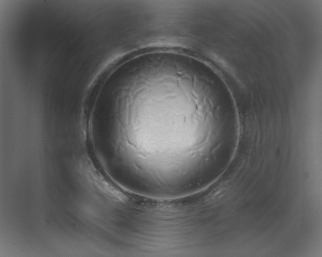 X0000071381408200606231234