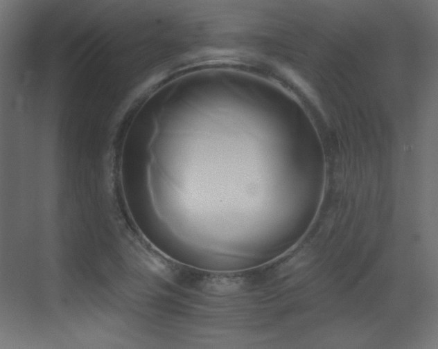 X0000071381411200606231234