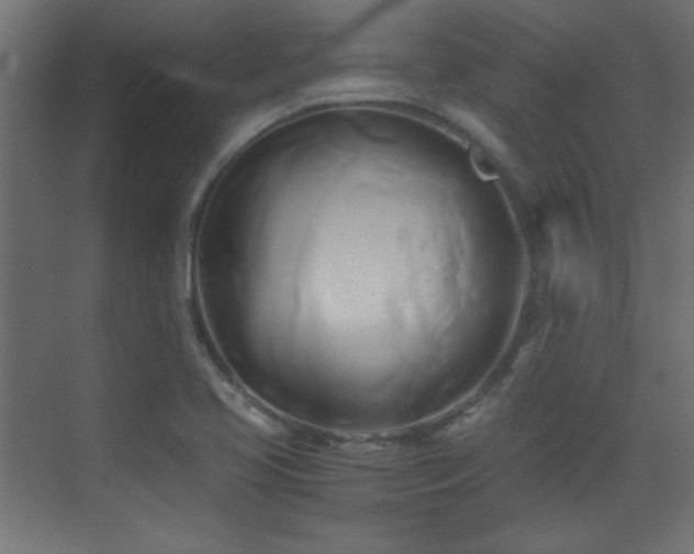 X0000071381413200606231234