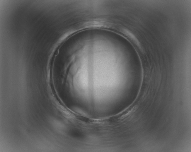 X0000071381419200606231234